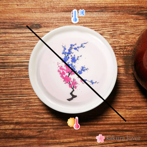Magic Sakura Cherry Blossom Sake Cup (Set of 3s)